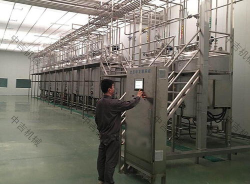 菠蘿飲料生產(chǎn)線運作與工藝實例分析